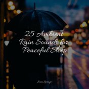 25 Ambient Rain Sounds for Peaceful Sleep