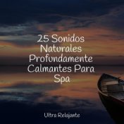 25 Sonidos Naturales Profundamente Calmantes Para Spa