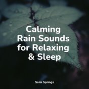 Calming Rain Sounds for Relaxing & Sleep