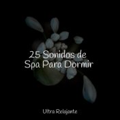 25 Sonidos de Spa Para Dormir