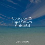 Colección 25 Light Suaves Ambiental