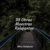 35 Obras Maestras Relajantes