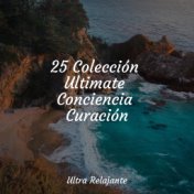 25 Colección Ultimate Conciencia Curación