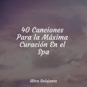 40 Canciones Para la Máxima Curación En el Spa