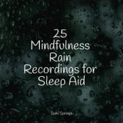 25 Mindfulness Rain Recordings for Sleep Aid
