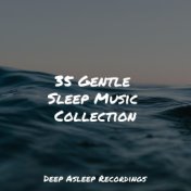 35 Gentle Sleep Music Collection