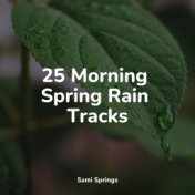 25 Morning Spring Rain Tracks