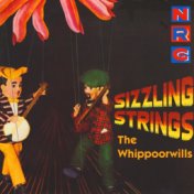 Sizzling Strings