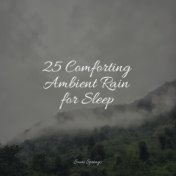 25 Comforting Ambient Rain for Sleep