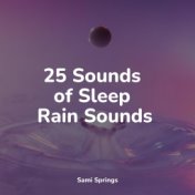 25 Sounds of Sleep Rain Sounds