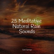 25 Meditative Natural Rain Sounds