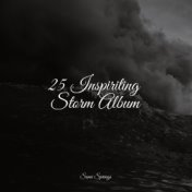 25 Inspiriting Storm Album