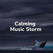 Calming Music Storm