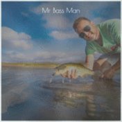 Mr Bass Man
