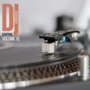DJ Central Groove Vol, 12