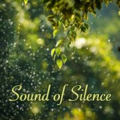 Sound of Silence: Naturescapes Serenity Music, Nature Relaxation & Mindfulness Meditation Songs