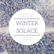 Winter Solace: Relaxing New Age Seasonal Sounds, Nature Sounds, Piano Music