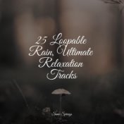 25 Loopable Rain, Ultimate Relaxation Tracks