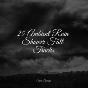 25 Ambient Rain Shower Fall Tracks