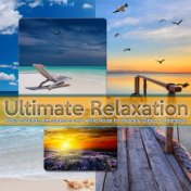 Ultimate Relaxation: Nature Sounds, Atmospheres and White Noise for Peaceful Sleep & Meditation
