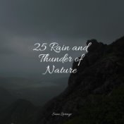 25 Rain and Thunder of Nature