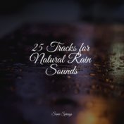 25 Tracks for Natural Rain Sounds