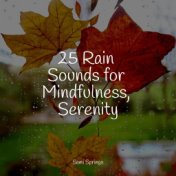 25 Rain Sounds for Mindfulness, Serenity