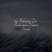 25 Relaxing Zen Rain and Nature Sounds