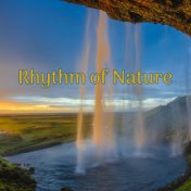 Rhythm of Nature: Quiet Music with Healing Sounds of Nature