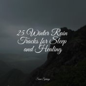 25 Winter Rain Tracks for Sleep and Healing