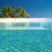 Summer Vibes Vol, 17