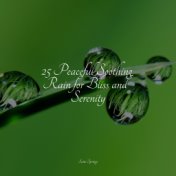 25 Peaceful Soothing Rain for Bliss and Serenity