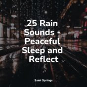 25 Rain Sounds - Peaceful Sleep and Reflect
