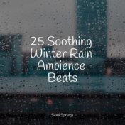 25 Soothing Winter Rain Ambience Beats