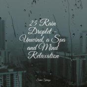 25 Rain Droplet - Unwind, a Spa and Mind Relaxation