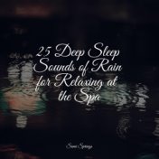 25 Deep Sleep Sounds of Rain for Relaxing at the Spa