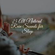 25 All Natural Rain Sounds for Sleep