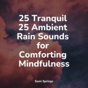 25 Tranquil 25 Ambient Rain Sounds for Comforting Mindfulness