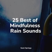 25 Best of Mindfulness Rain Sounds