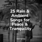 25 Rain & Ambient Songs for Peace & Tranquility
