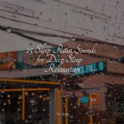 25 Sleep Rain Sounds for Deep Sleep Relaxation