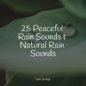 25 Peaceful Rain Sounds & Natural Rain Sounds