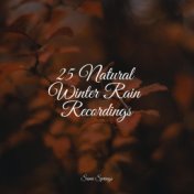 25 Natural Winter Rain Recordings
