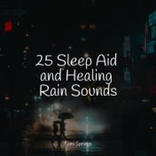 25 Sleep Aid and Healing Rain Sounds