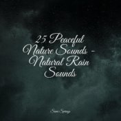 25 Peaceful Nature Sounds - Natural Rain Sounds