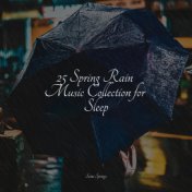 25 Spring Rain Music Collection for Sleep