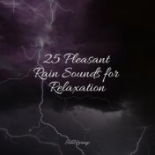 25 Pleasant Rain Sounds for Relaxation