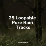 25 Loopable Pure Rain Tracks