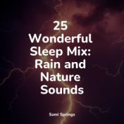 25 Wonderful Sleep Mix: Rain and Nature Sounds