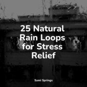 25 Natural Rain Loops for Stress Relief